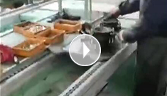 辰力手拉葫蘆車間，手拉葫蘆流水作業(yè)中
